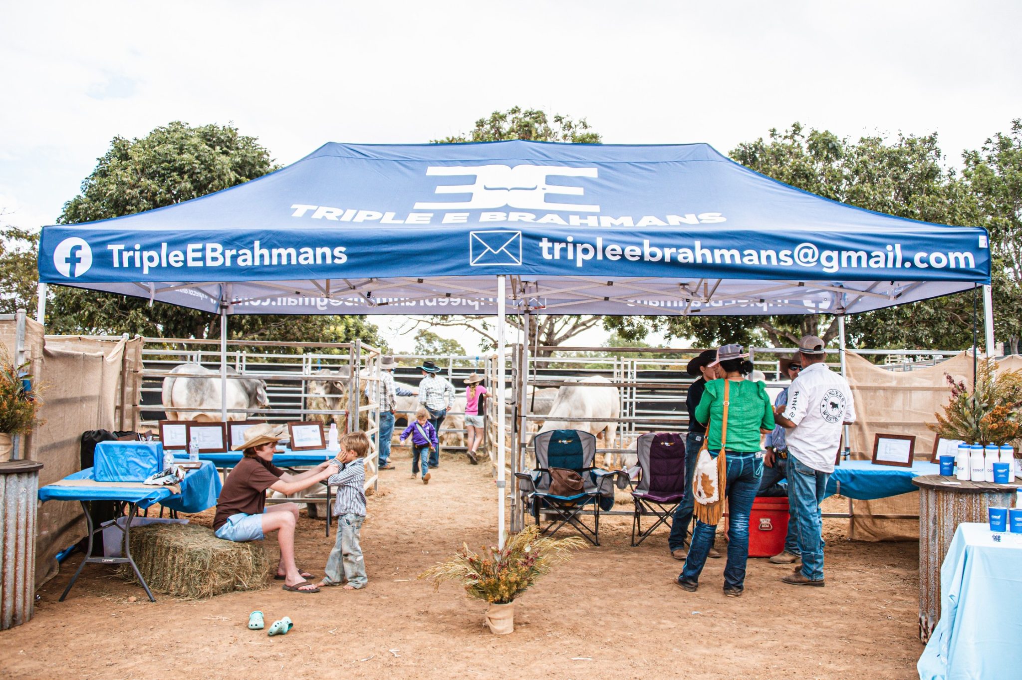 Home Northern Beef Producers
